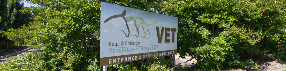 Bega Cobargo Veterinary Hospitals